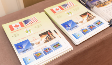 GBIIS – GLOBAL IMMIGRATION & INVESTMENT SOLUTIONS